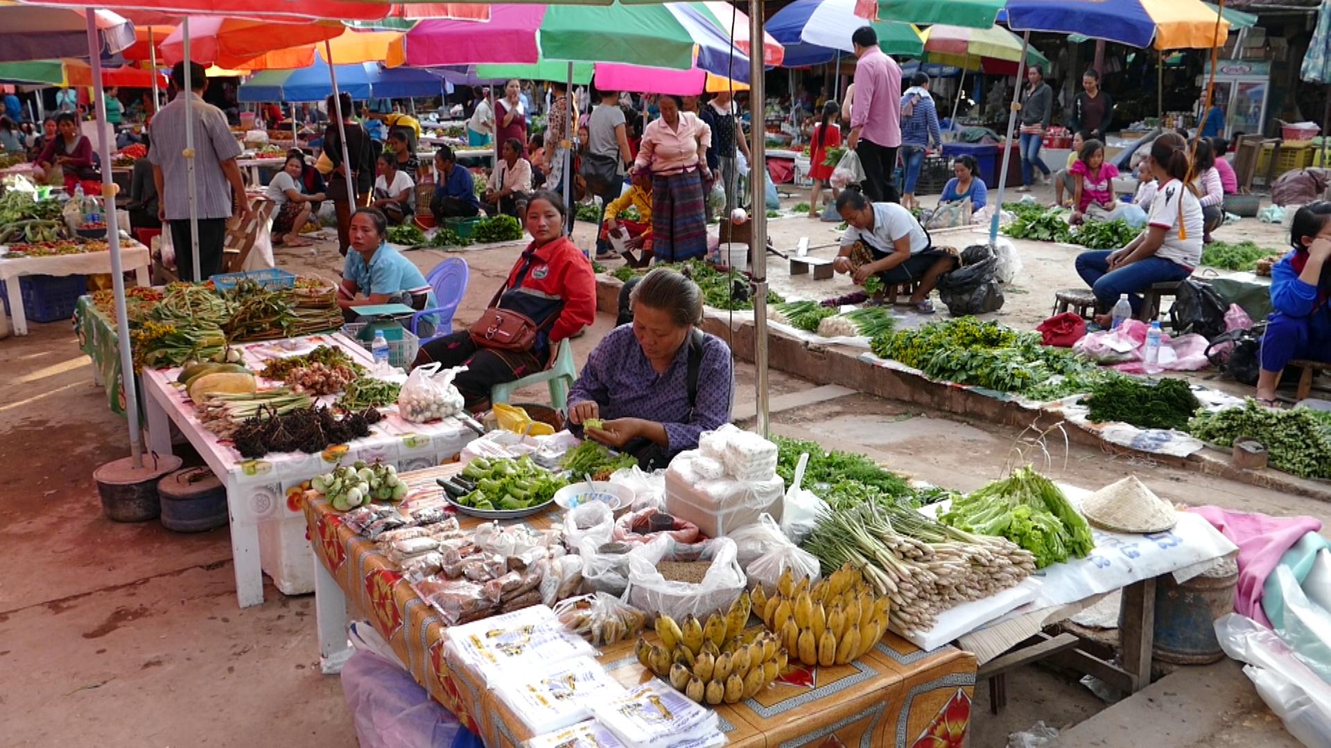fietstocht Anuradhapura