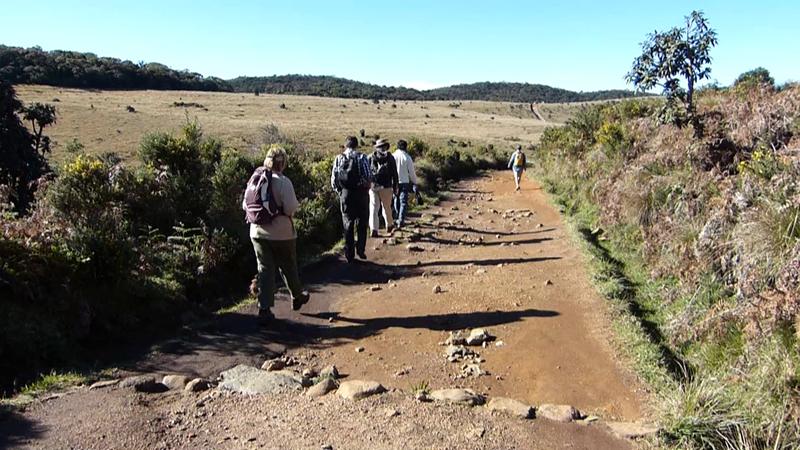 Horton Plains